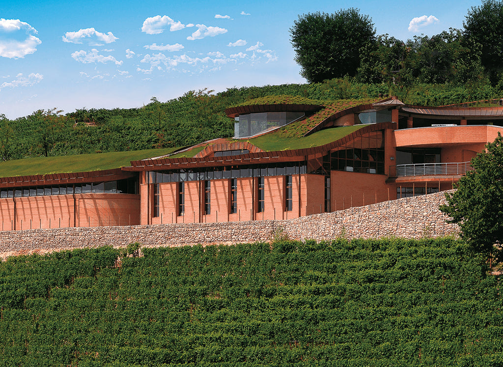 Halfway up a hill overlooking the main Barolo valley